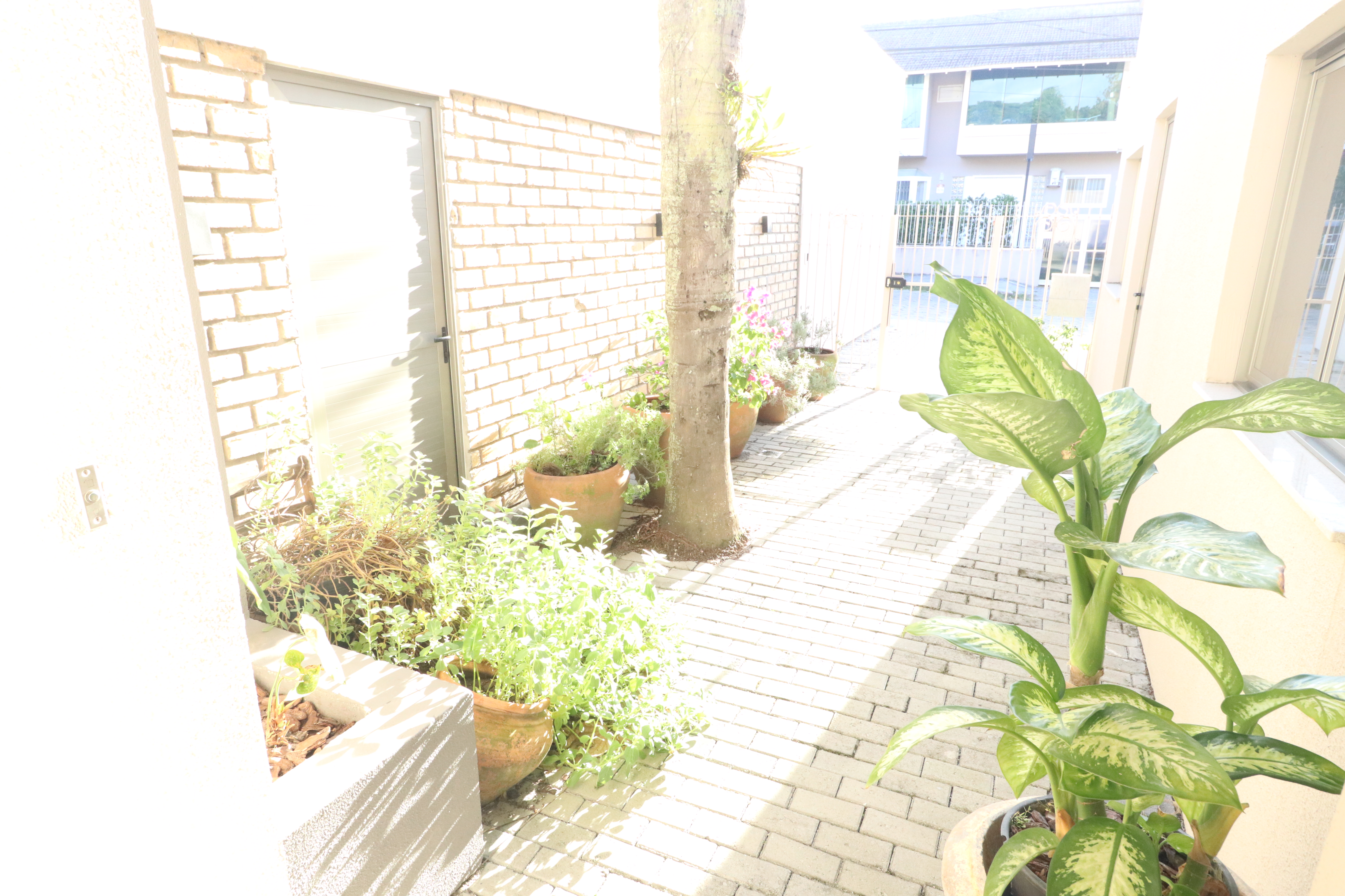 Sala de atendimento ampla com mesa de madeira, divã e decoração integrada com plantas e livros